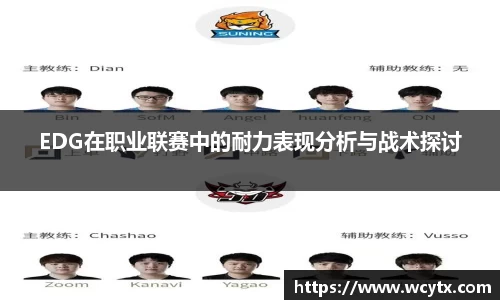 EDG在职业联赛中的耐力表现分析与战术探讨
