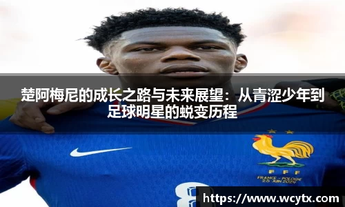 米兰体育官网
