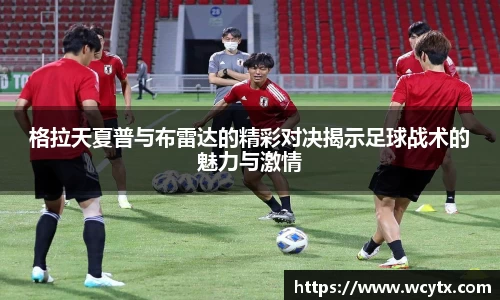 米兰体育官网