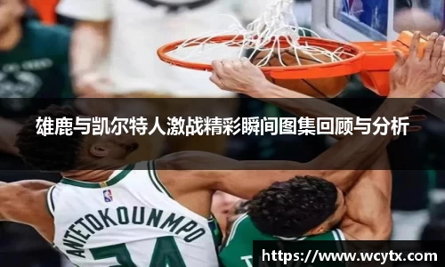 雄鹿与凯尔特人激战精彩瞬间图集回顾与分析